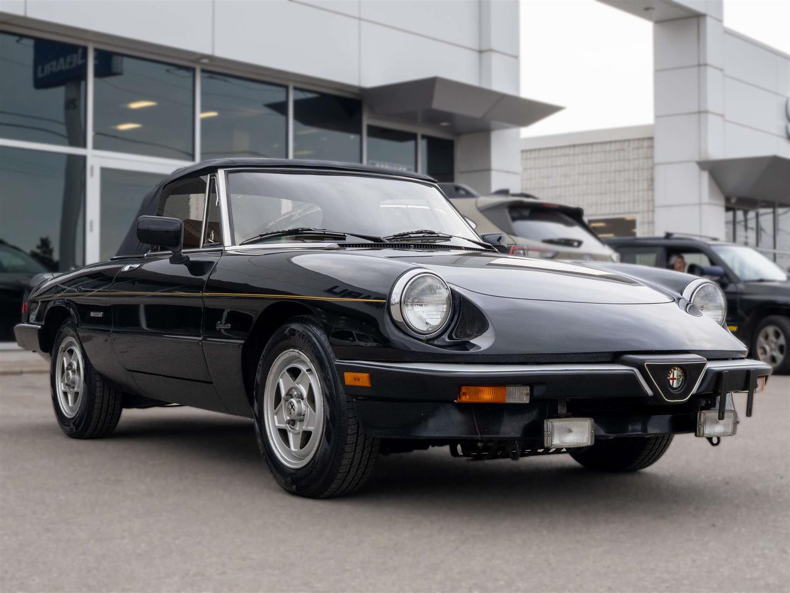 1987 Alfa Romeo Spider 2dr Coupe Graduate - Thumbnail 3