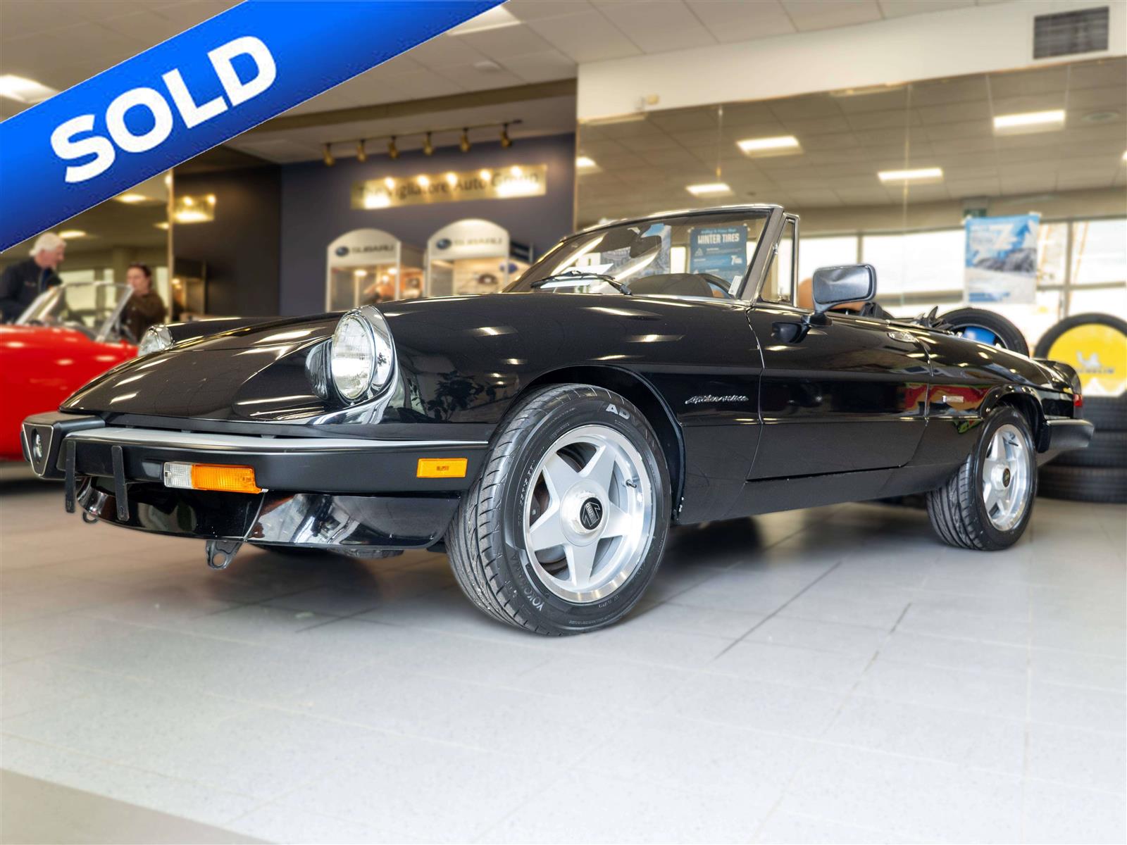 1989 Alfa Romeo Spider
