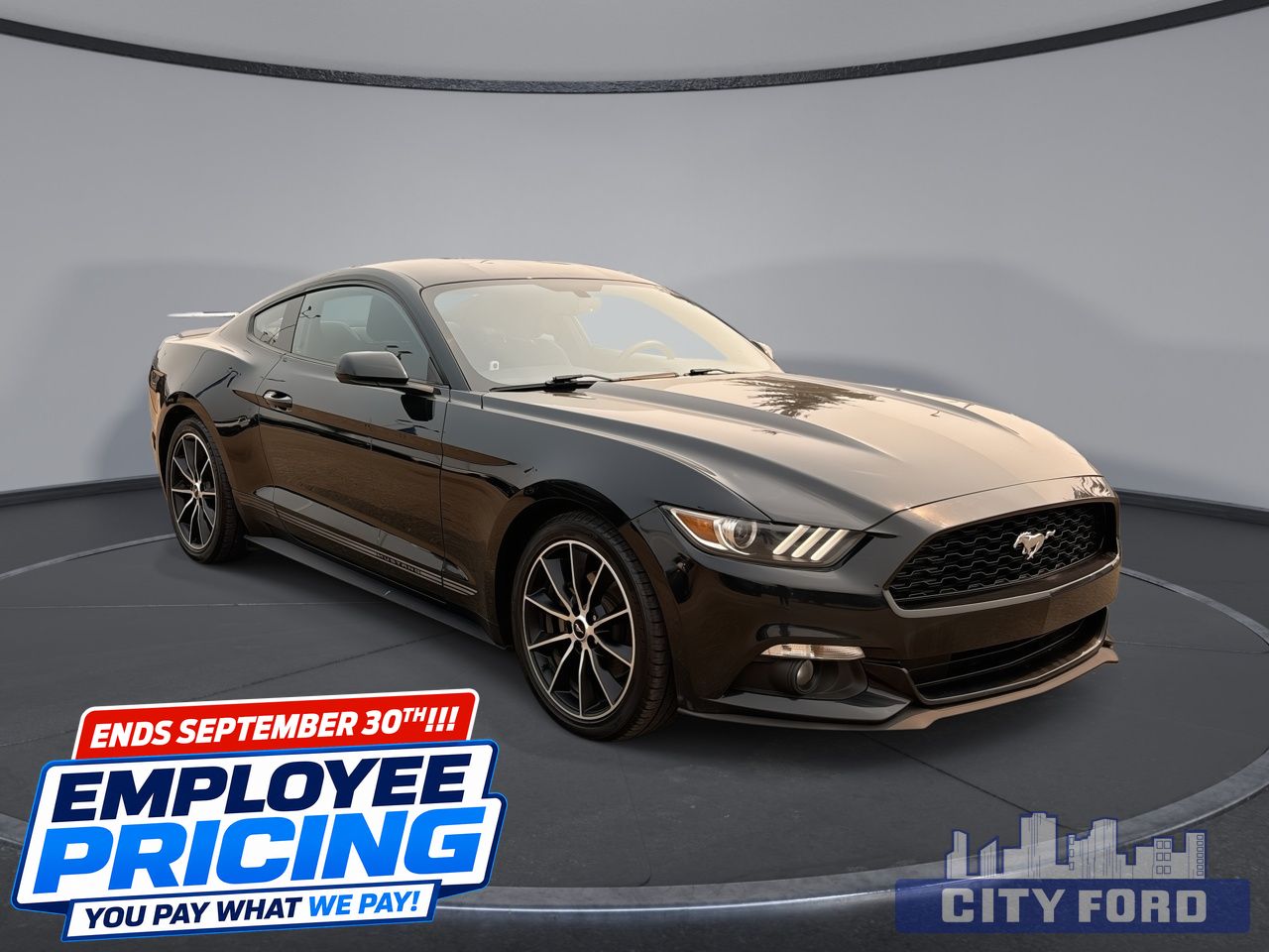 2015 Ford Mustang EcoBoost 2dr Fastback - Main View