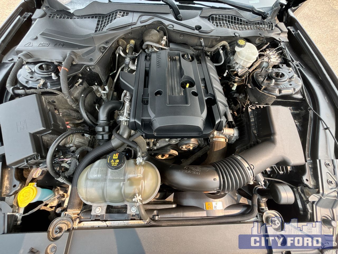 2015 Ford Mustang EcoBoost 2dr Fastback - Thumbnail 23