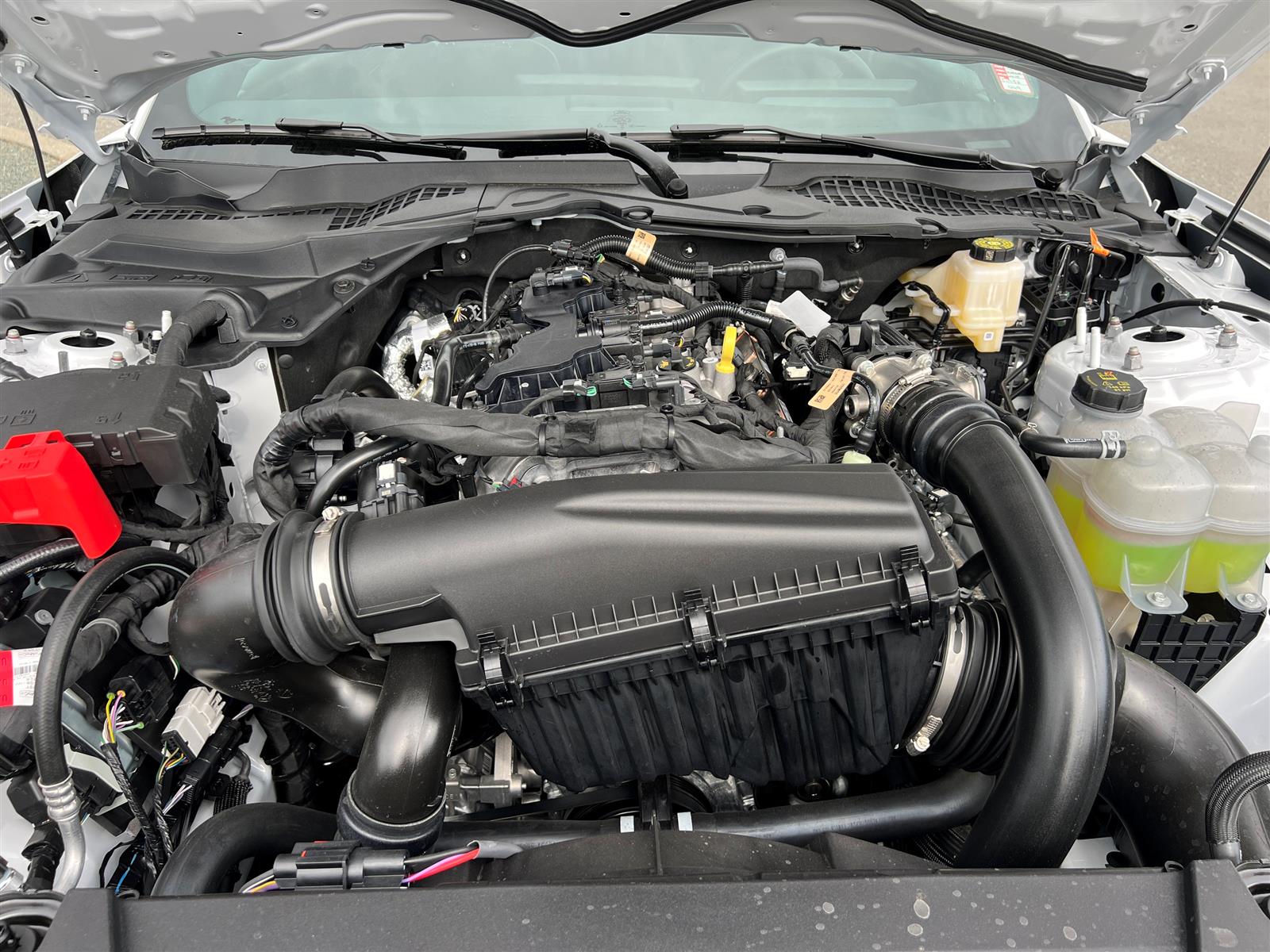 2025 Ford Mustang Ecoboost Coupe - Thumbnail 26