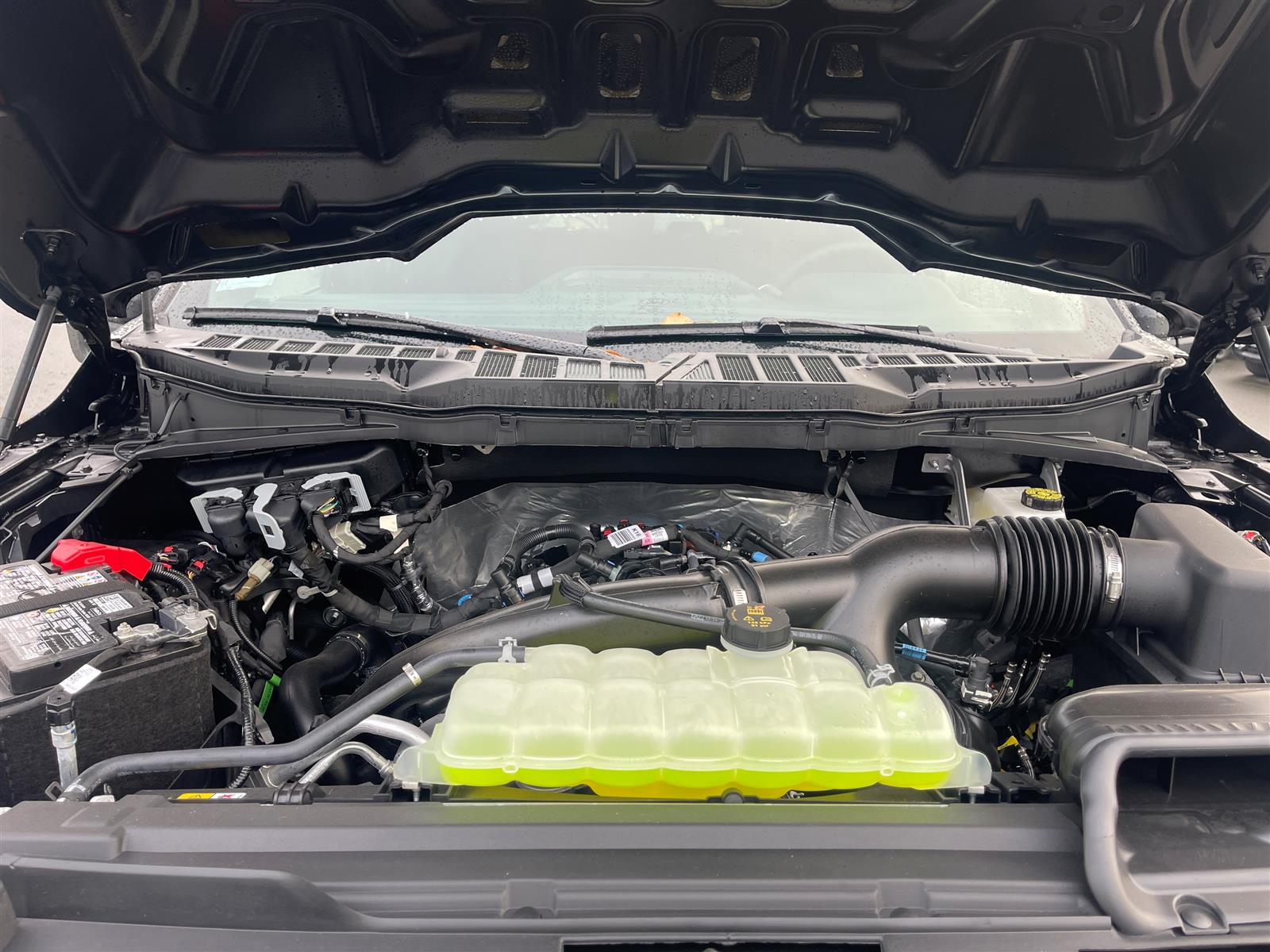 2025 Ford F-150 STX 200B 2.7L Ecoboost SuperCrew - Thumbnail 26
