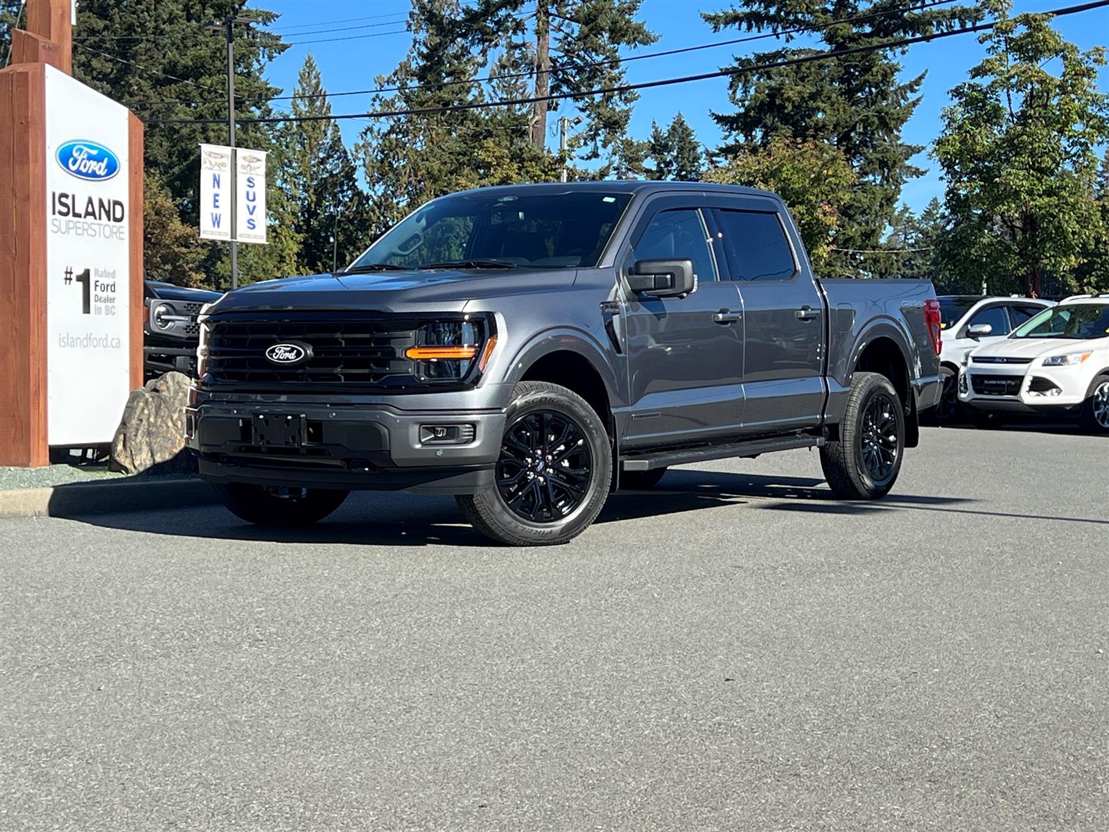2025 Ford F-150 XLT 302A 3.5L POWERBOOST SuperCrew - Thumbnail 29
