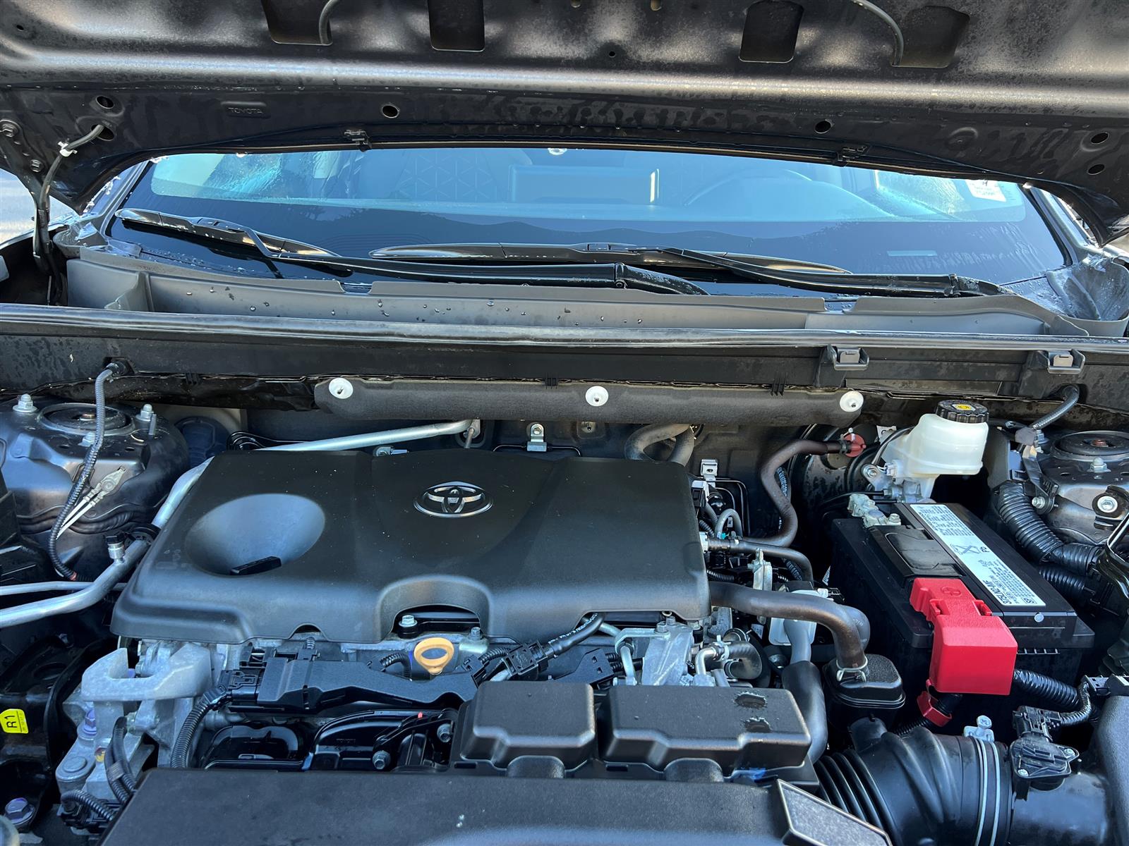 2019 Toyota RAV4 Heated Seats | Bluetooth | Blind Spot Monitor - Thumbnail 30