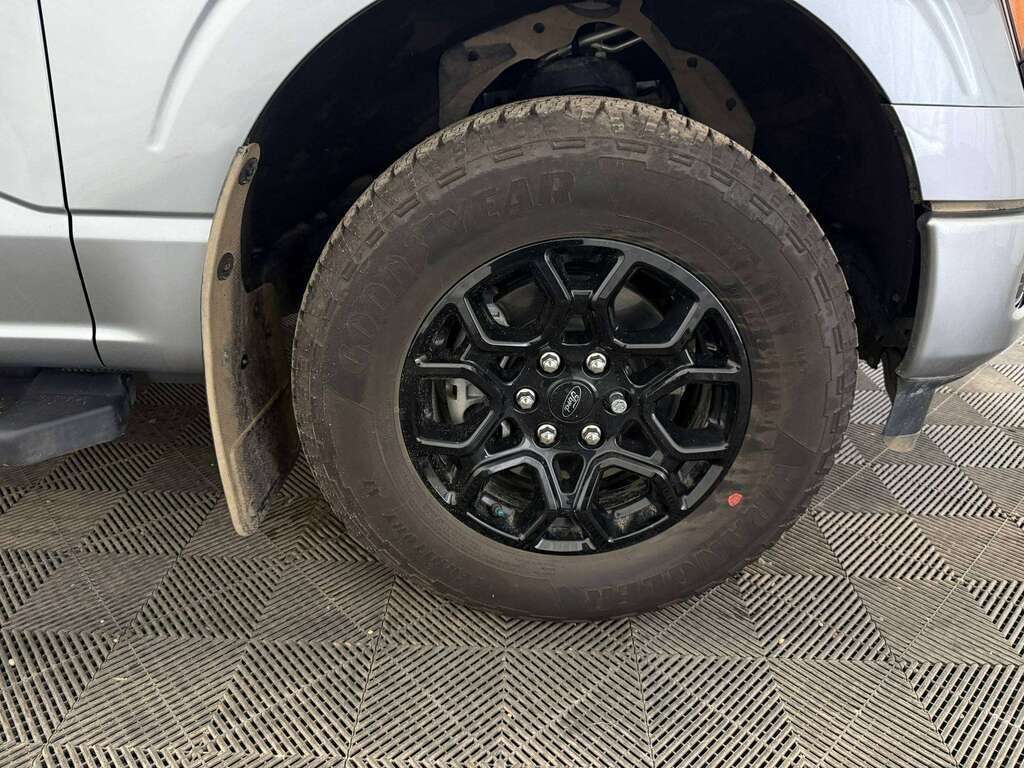 2025 Ford F-150 XLT BLACK APPEARANCE PACKAGE - Thumbnail 4