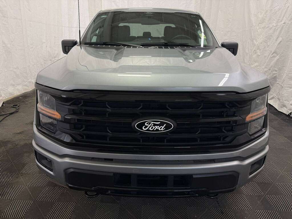 2025 Ford F-150 XLT BLACK APPEARANCE PACKAGE - Thumbnail 5