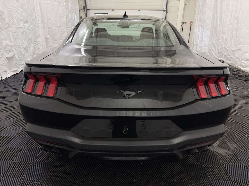 2026 Ford Mustang ECOBOOST PREMIUM MUSTANG NITE PONY PACKAGE - Thumbnail 10