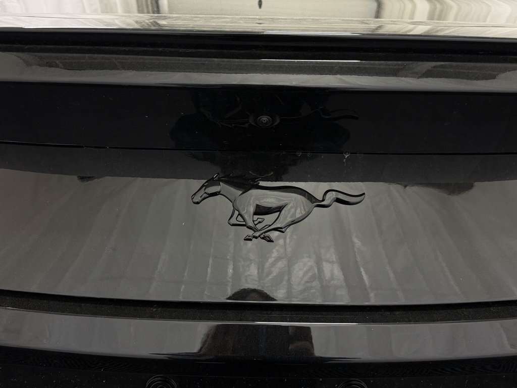 2026 Ford Mustang ECOBOOST PREMIUM MUSTANG NITE PONY PACKAGE - Thumbnail 11