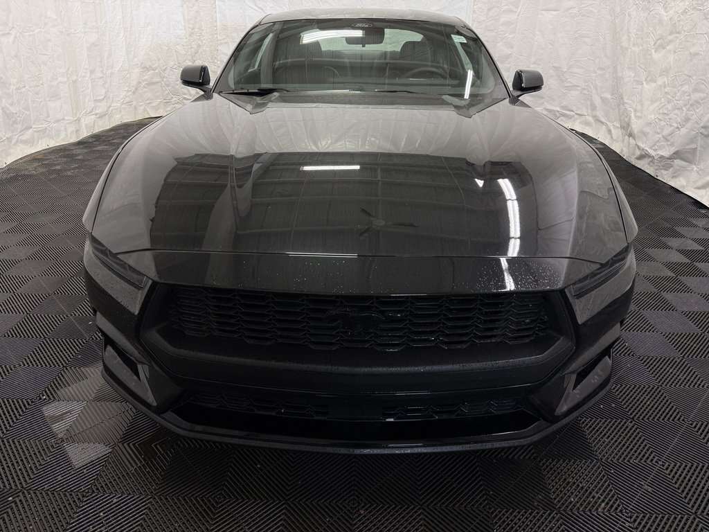 2026 Ford Mustang ECOBOOST PREMIUM MUSTANG NITE PONY PACKAGE - Thumbnail 5