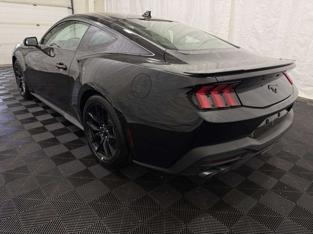 2026 Ford Mustang ECOBOOST PREMIUM MUSTANG NITE PONY PACKAGE - Thumbnail 9