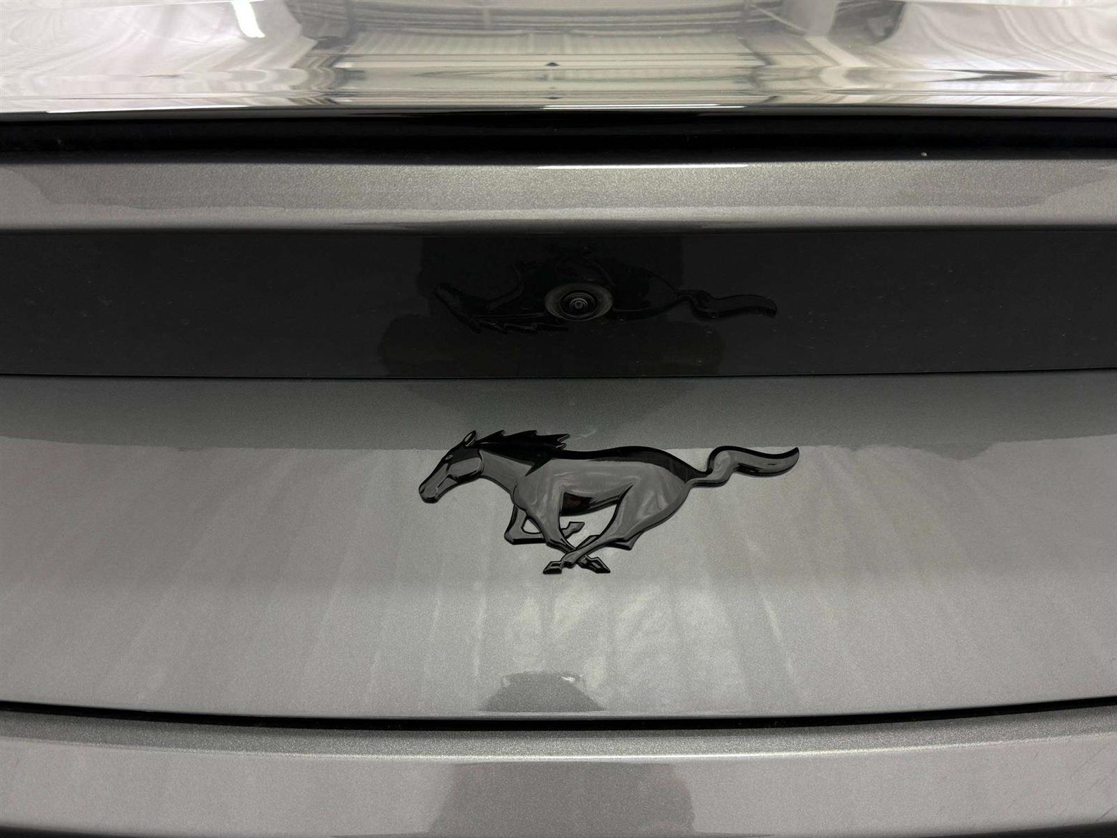2026 Ford Mustang ECOBOOST PREMIUM NITE PONY PACKAGE B&O AUDIO - Thumbnail 10