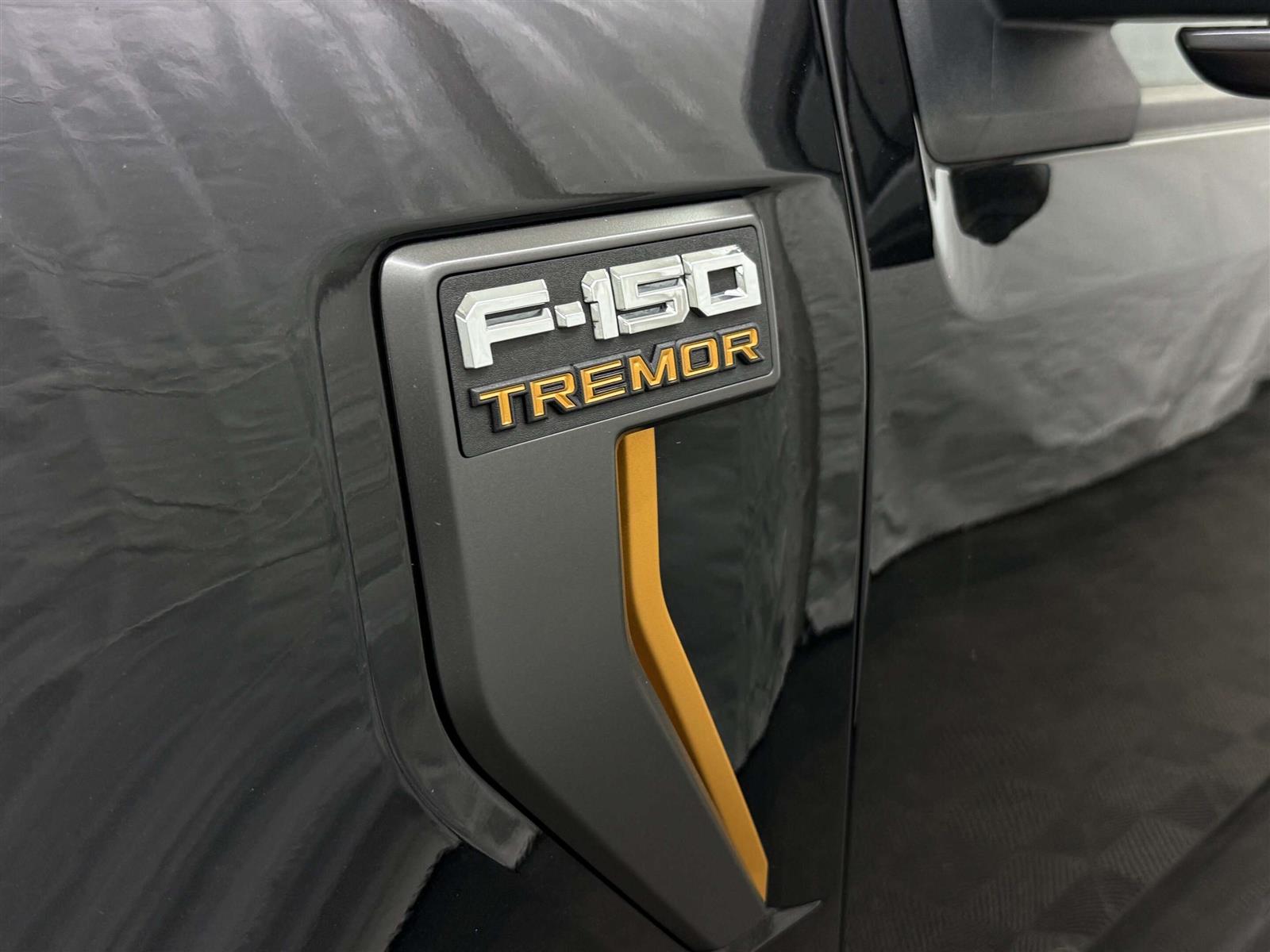 2024 Ford F-150 TREMOR 402A 3.5L | LEATHER | SUNROOF | B&O SOUND - Thumbnail 10