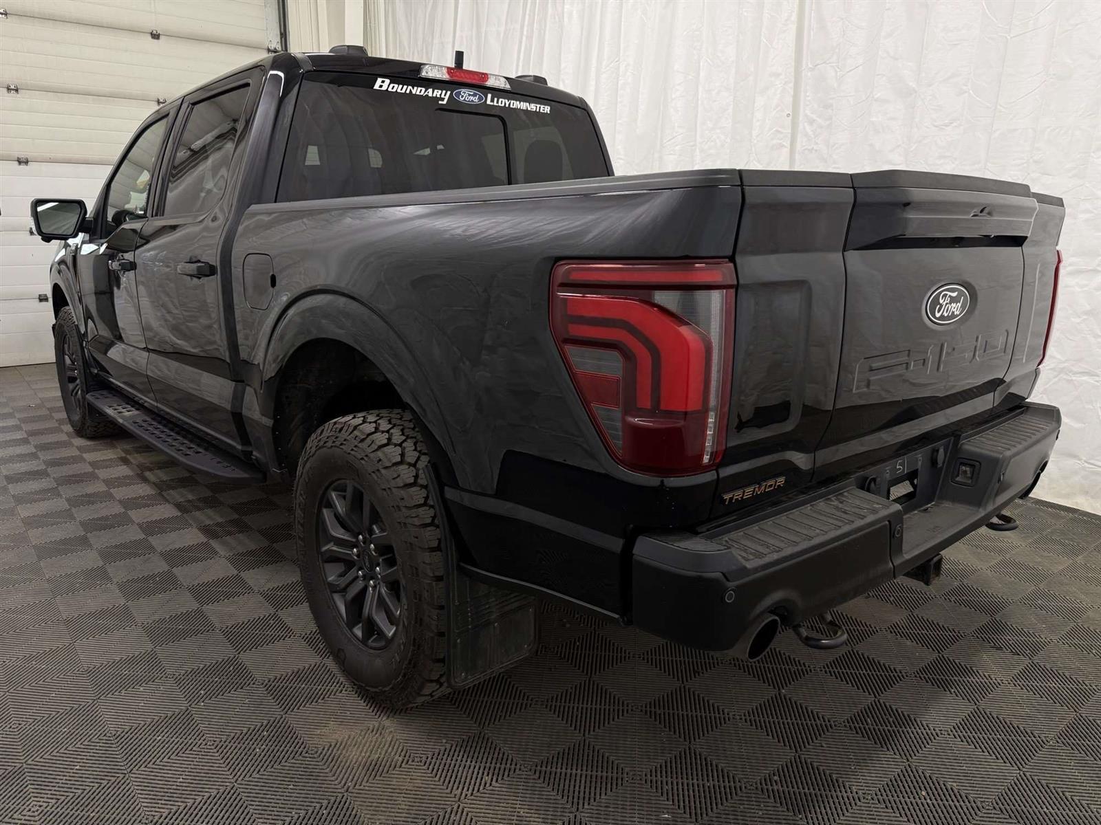 2024 Ford F-150 TREMOR 402A 3.5L | LEATHER | SUNROOF | B&O SOUND - Thumbnail 11