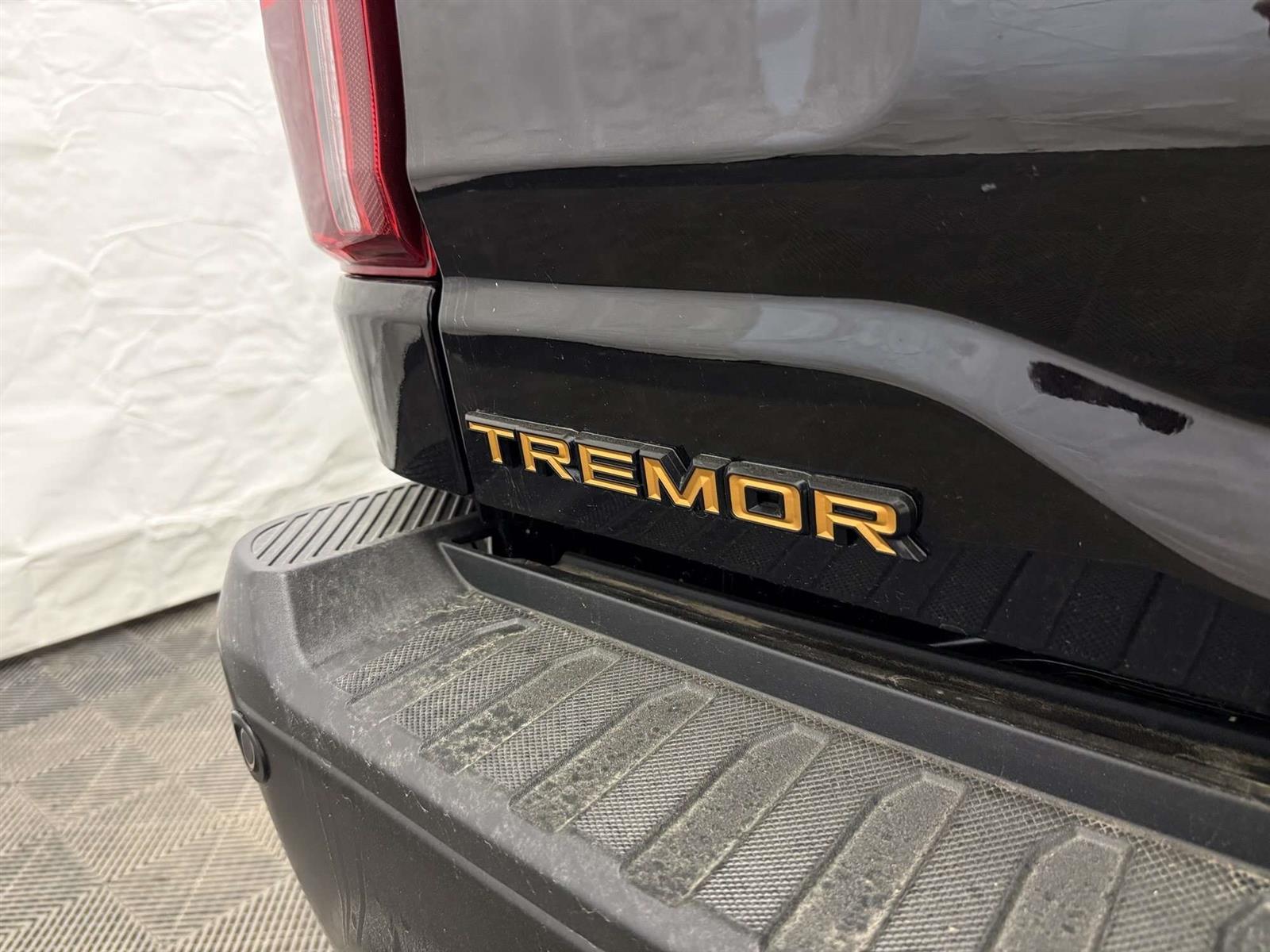 2024 Ford F-150 TREMOR 402A 3.5L | LEATHER | SUNROOF | B&O SOUND - Thumbnail 14