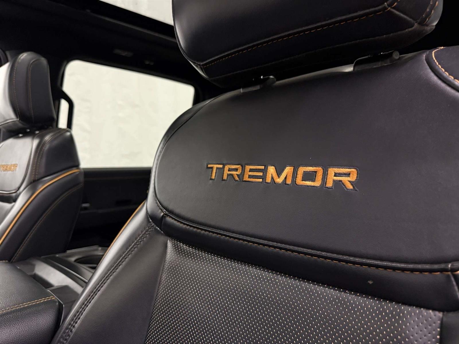 2024 Ford F-150 TREMOR 402A 3.5L | LEATHER | SUNROOF | B&O SOUND - Thumbnail 24