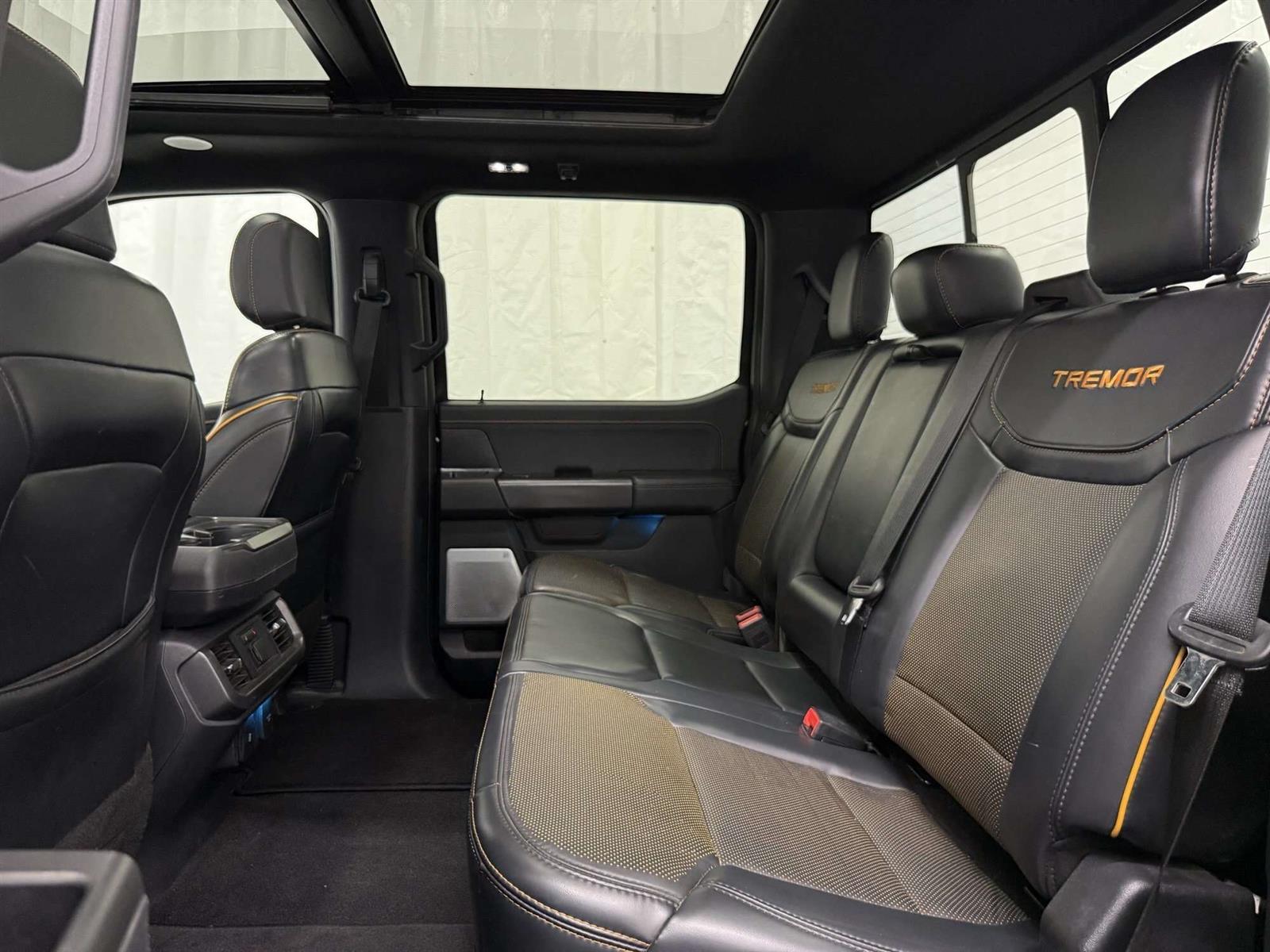 2024 Ford F-150 TREMOR 402A 3.5L | LEATHER | SUNROOF | B&O SOUND - Thumbnail 40