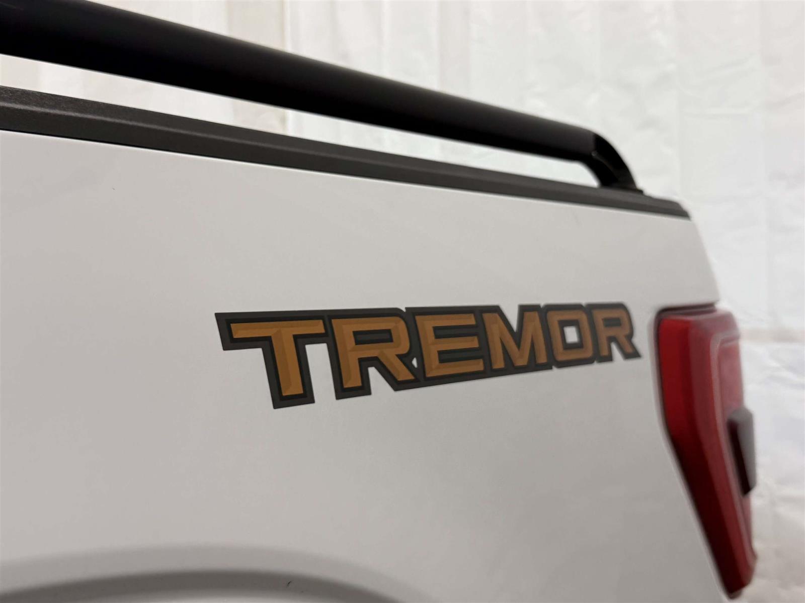 2022 Ford F-150 TREMOR 401A | PRO POWER ONBOARD | REMOTE START - Thumbnail 10