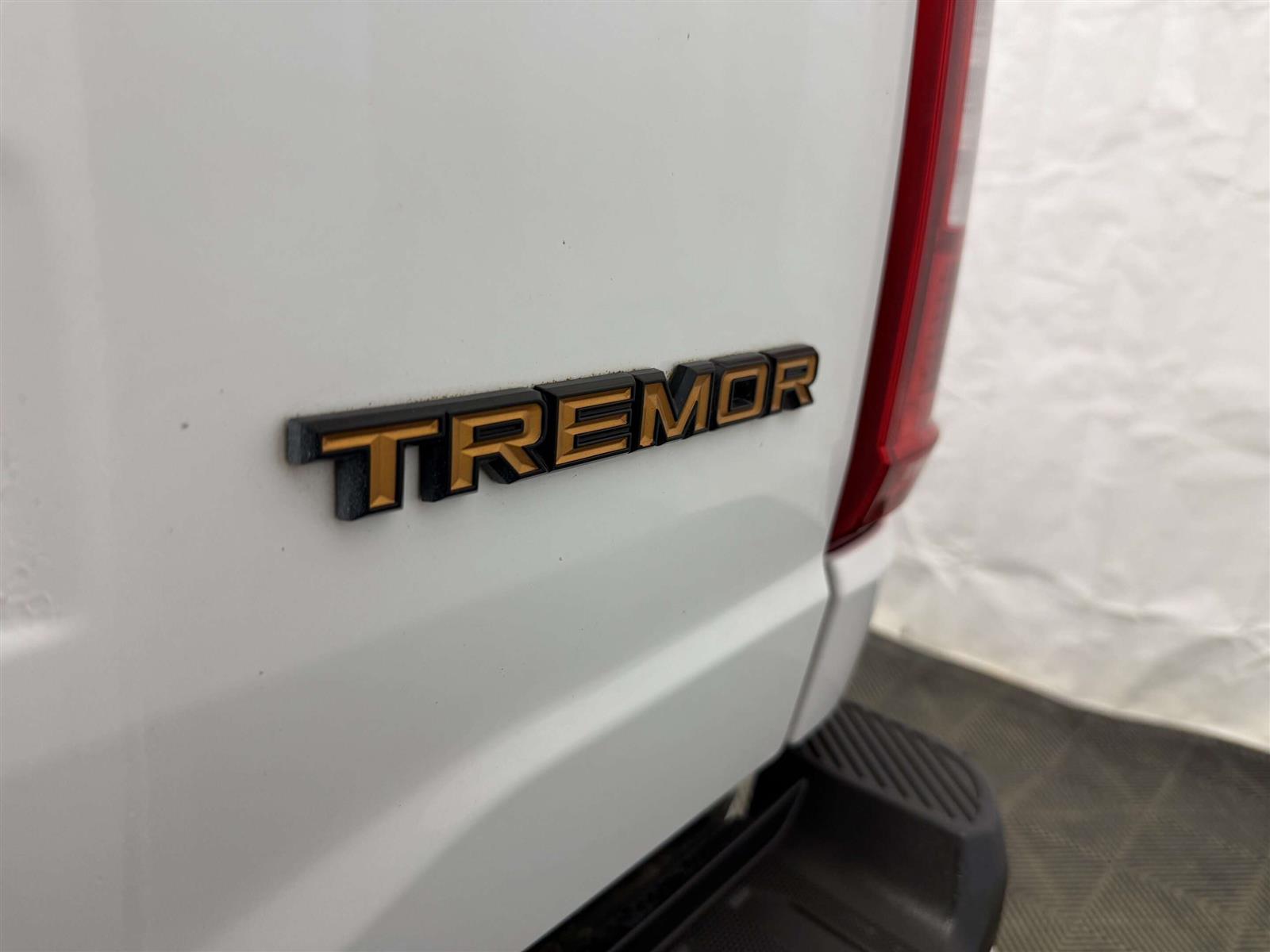 2022 Ford F-150 TREMOR 401A | PRO POWER ONBOARD | REMOTE START - Thumbnail 14