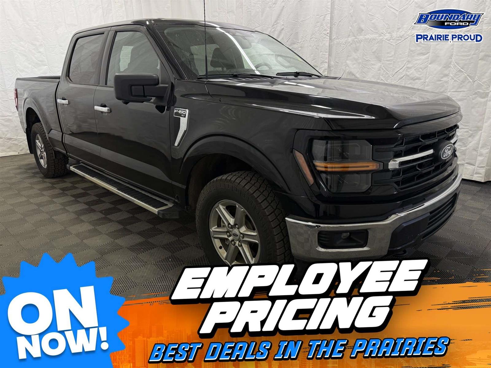 2024 Ford F-150 XLT 5.0L V8 | 6.5 FT BOX | TOW/HAUL PKG - Main View