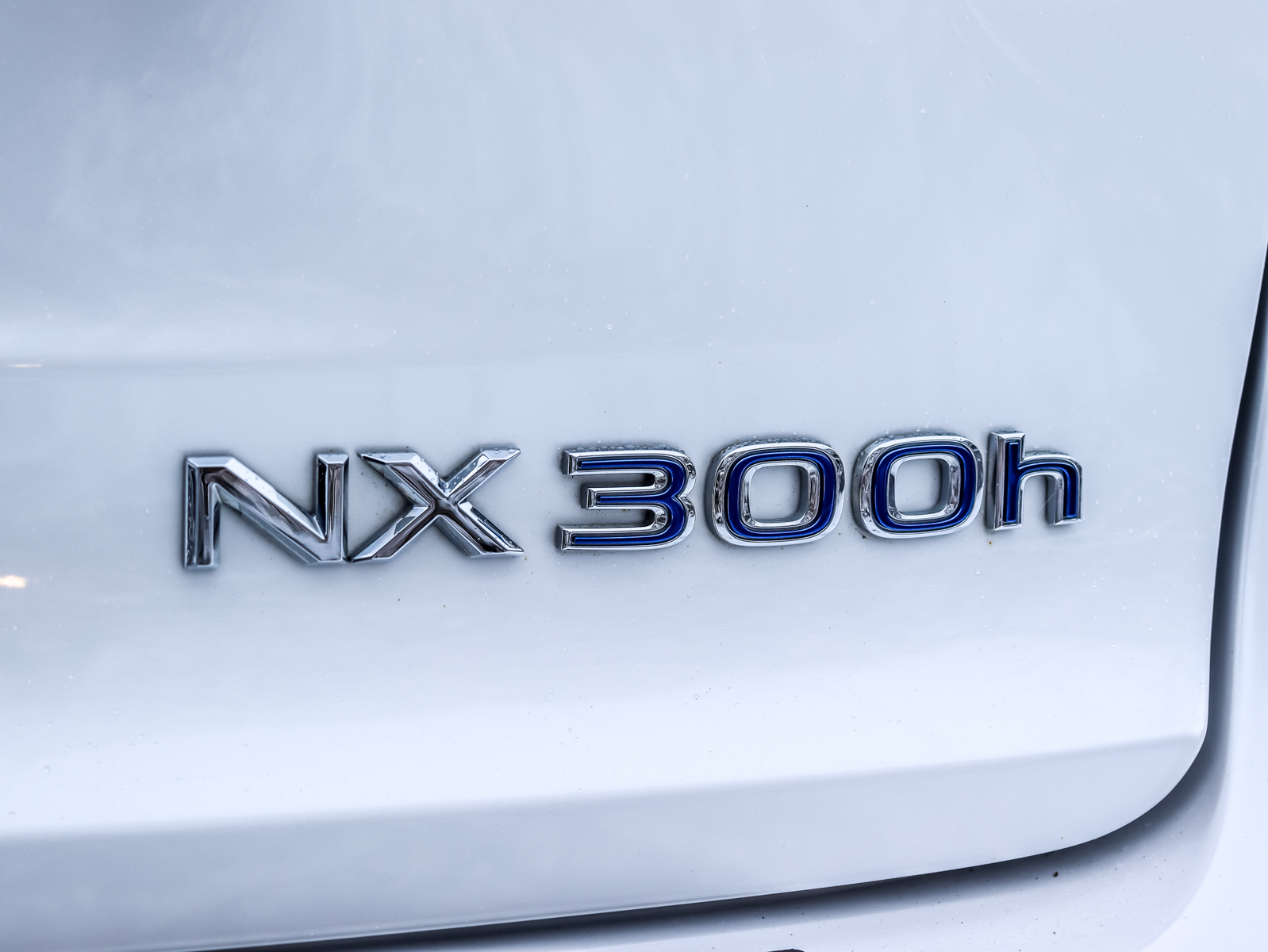 2021 Lexus NX 300H24
