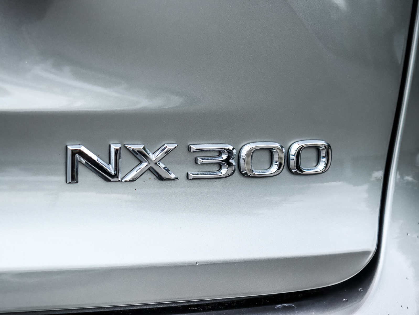 2021 Lexus NX 30024
