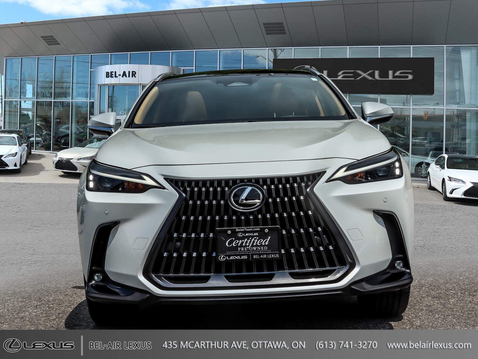 2022 Lexus NX 350h2