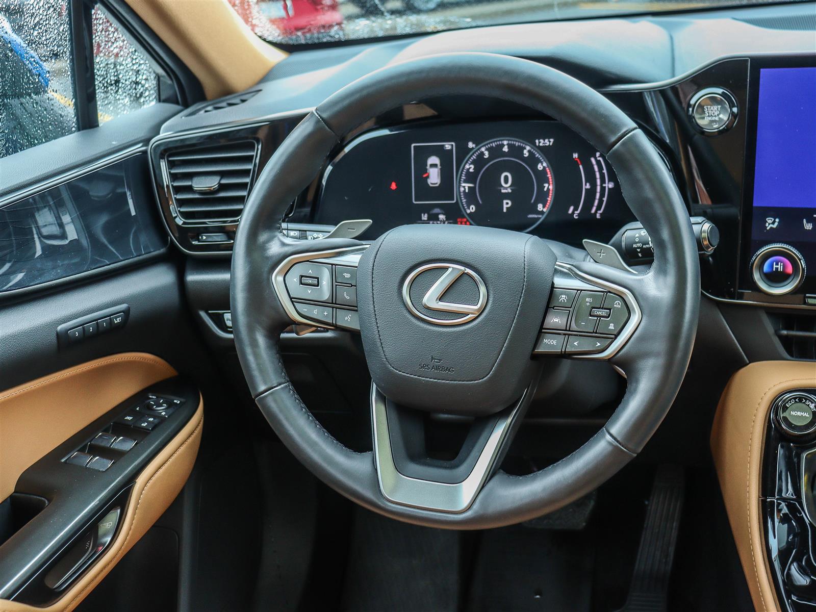 2022 Lexus NX 350 13