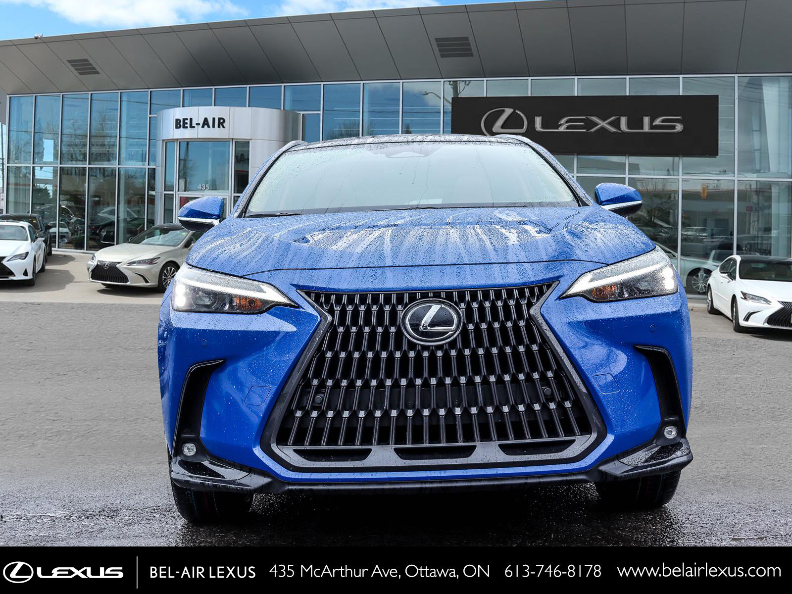 2022 Lexus NX 350 1