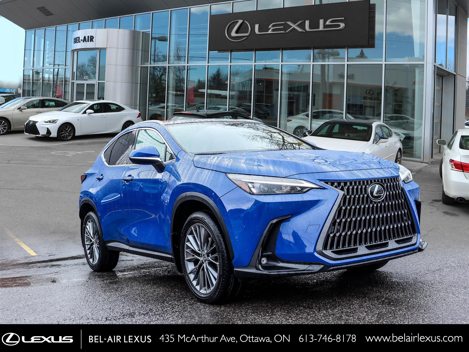 2022 Lexus NX 350 2