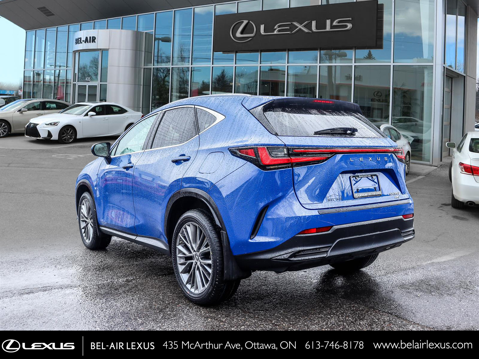 2022 Lexus NX 350 6