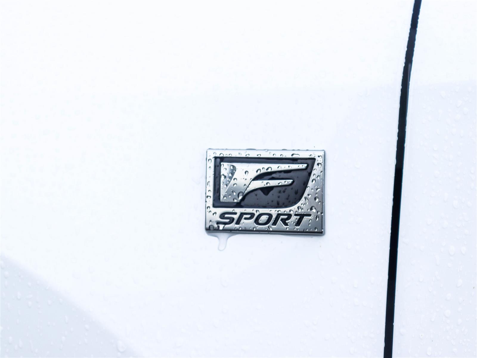 2023 Lexus RX 500H 25