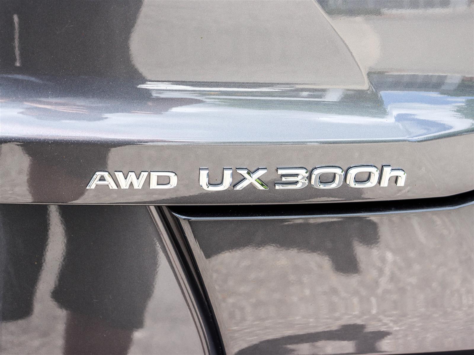 2025 Lexus UX 300H 22