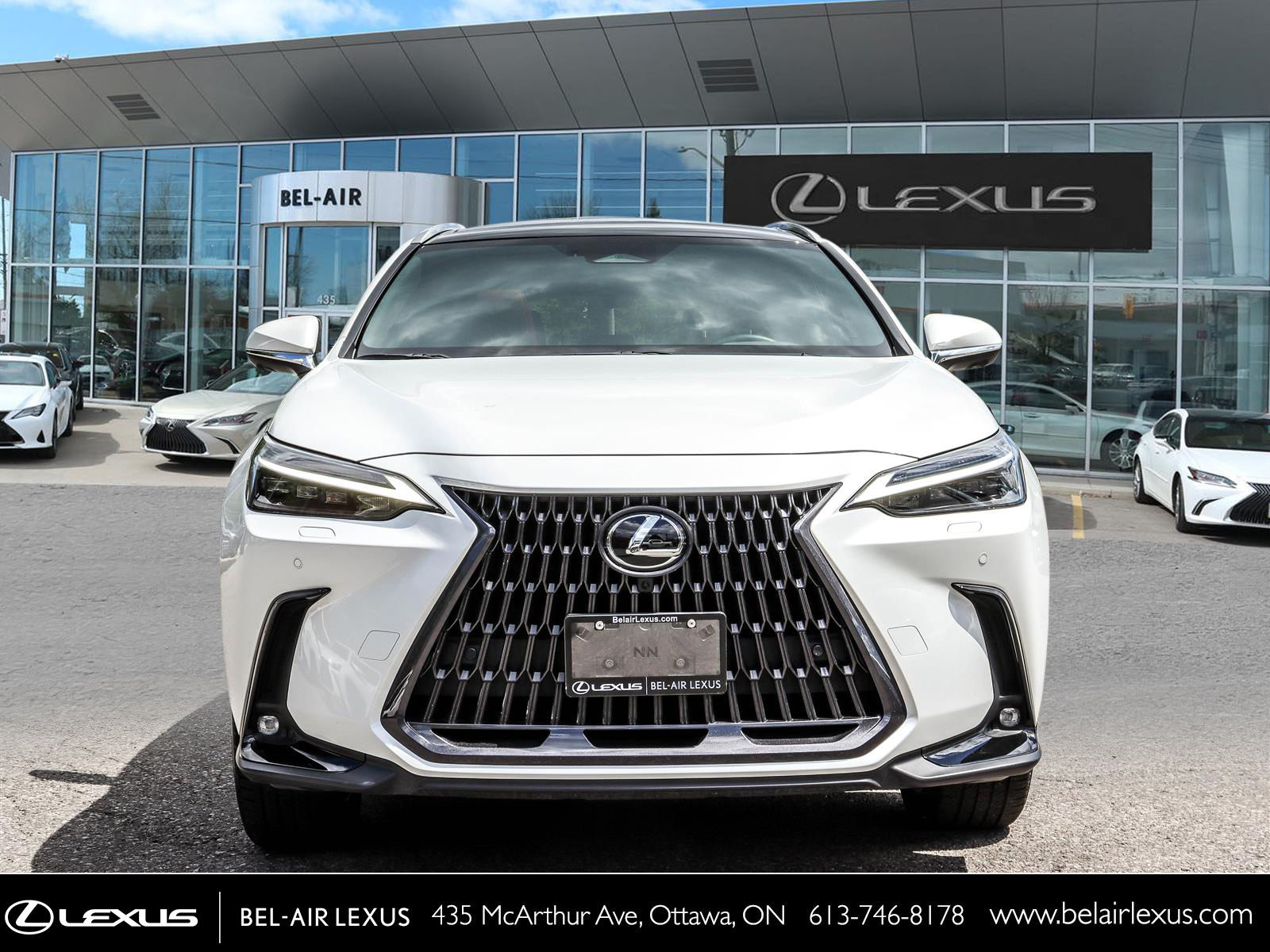 2023 Lexus NX 350 1