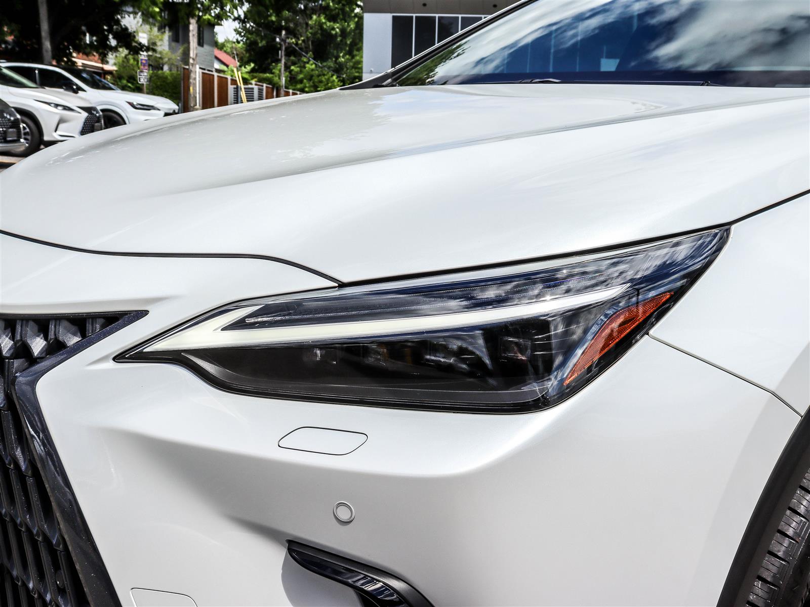 2023 Lexus NX 350 25