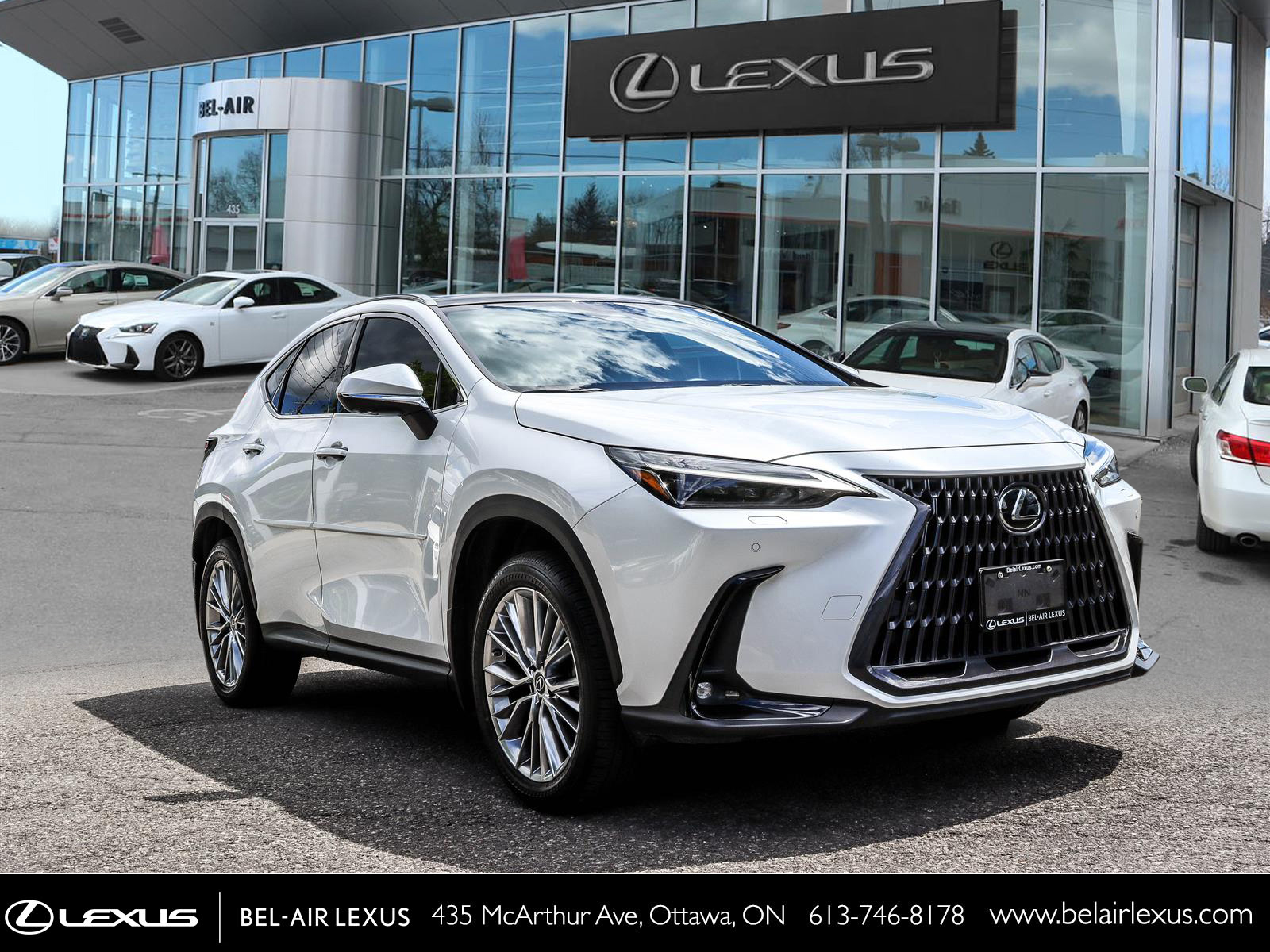 2023 Lexus NX 350 2
