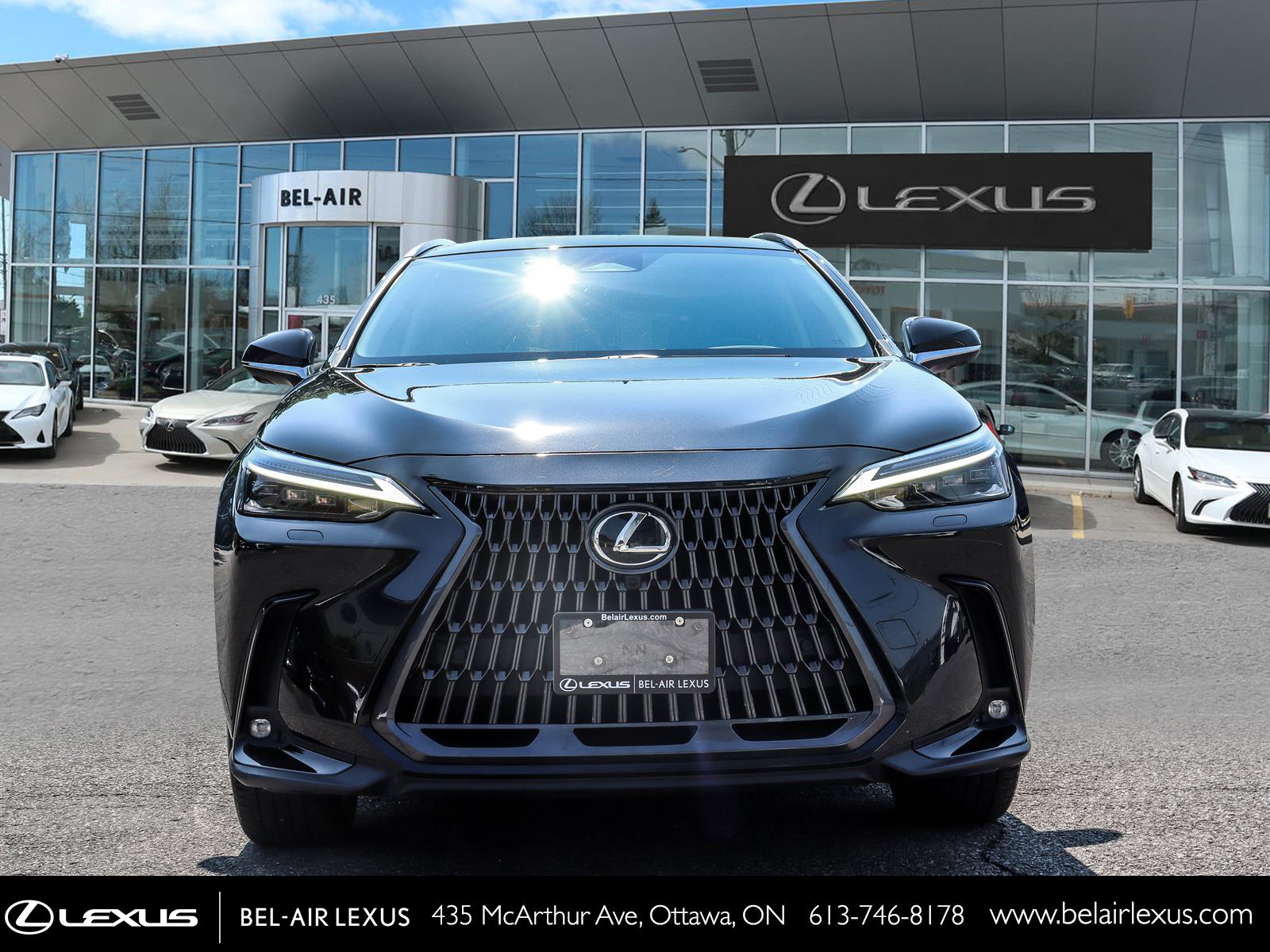 2023 Lexus NX 350 1