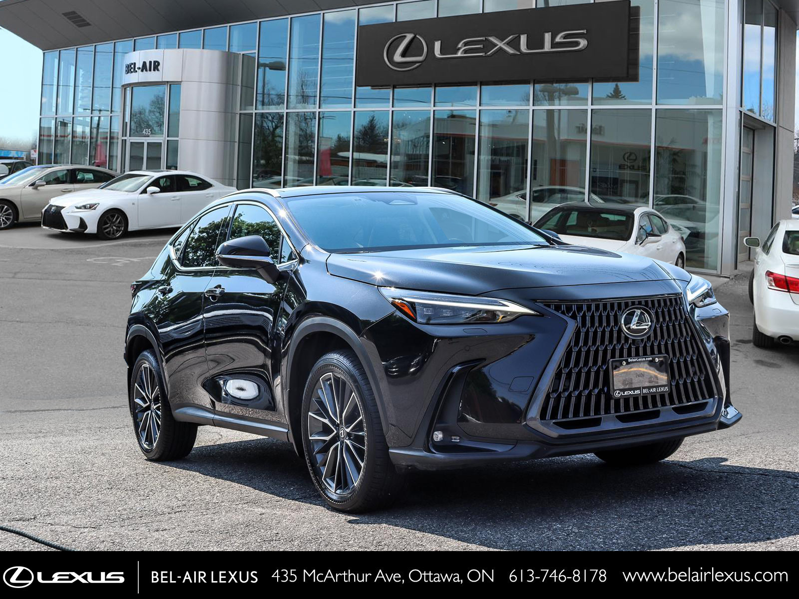 2023 Lexus NX 350 2