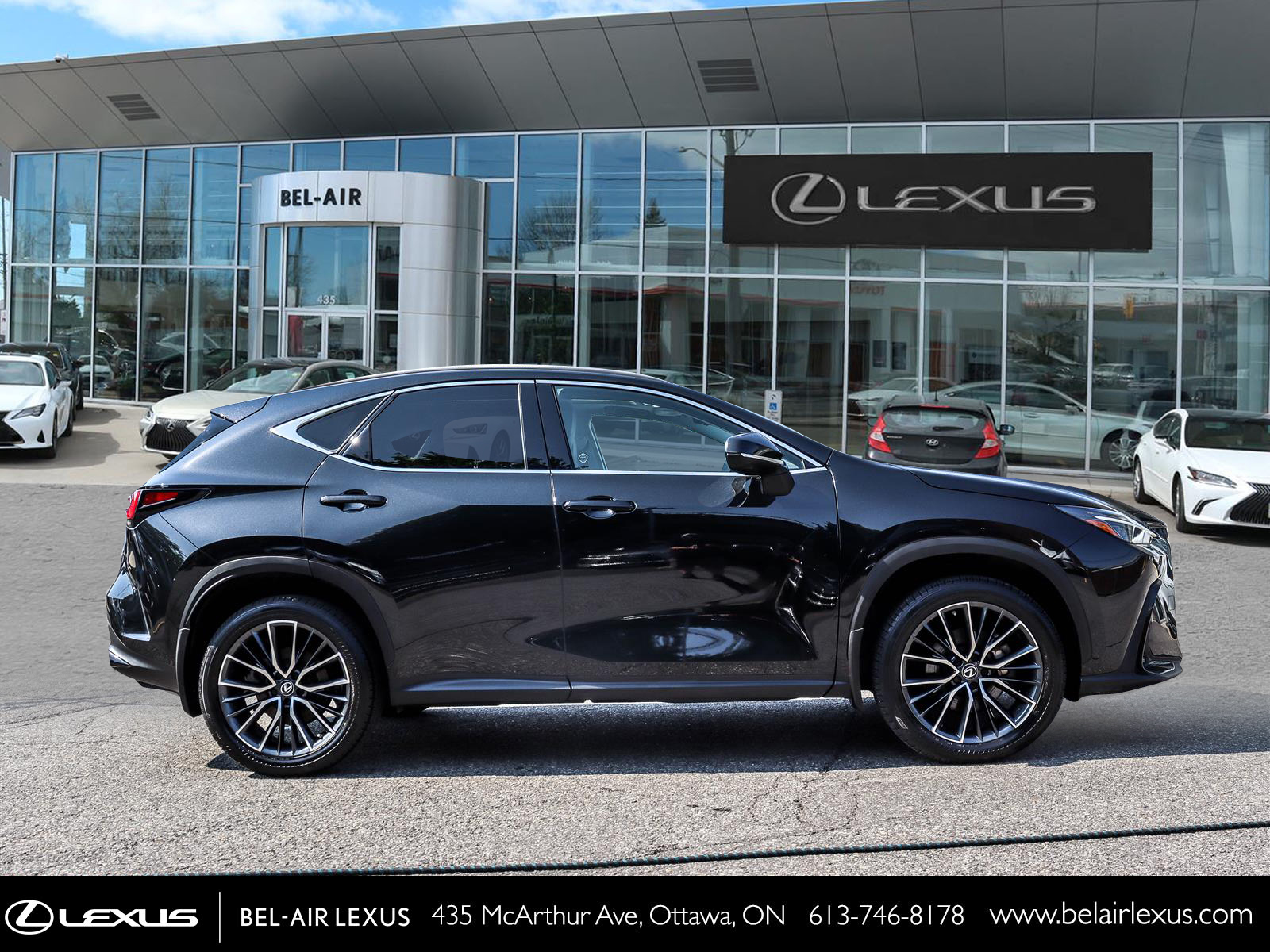 2023 Lexus NX 350 3