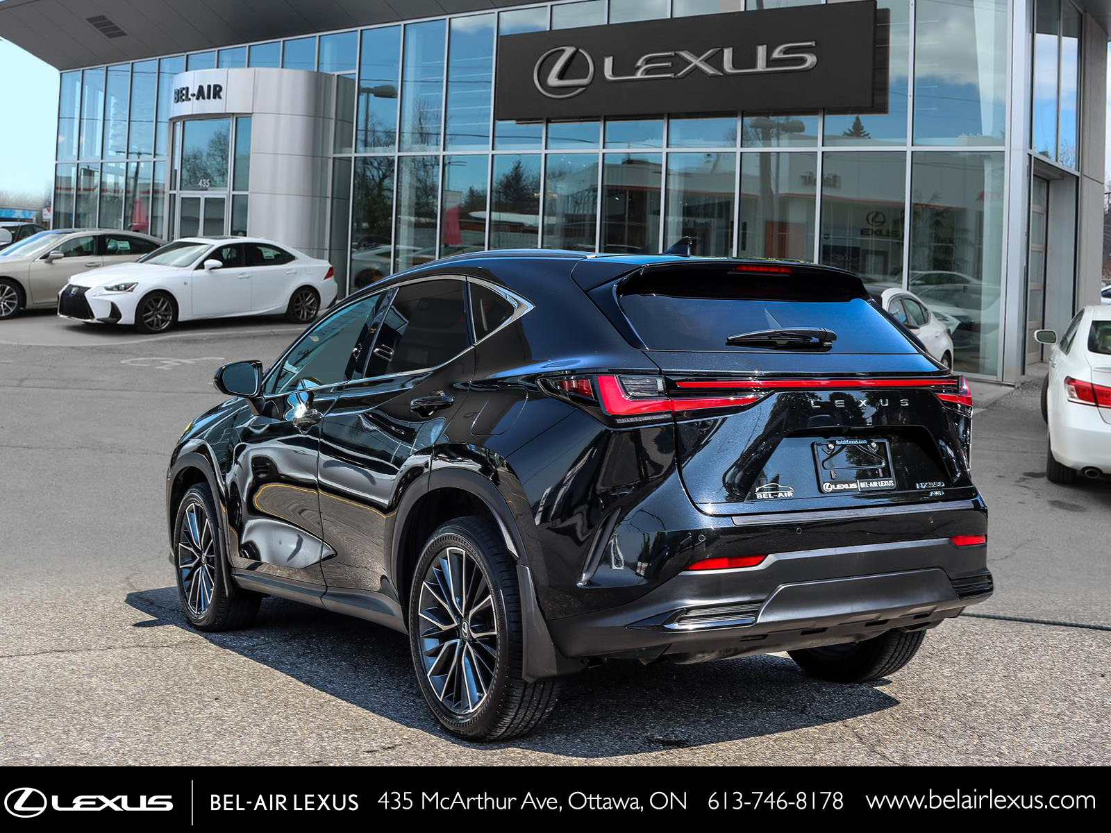 2023 Lexus NX 350 6