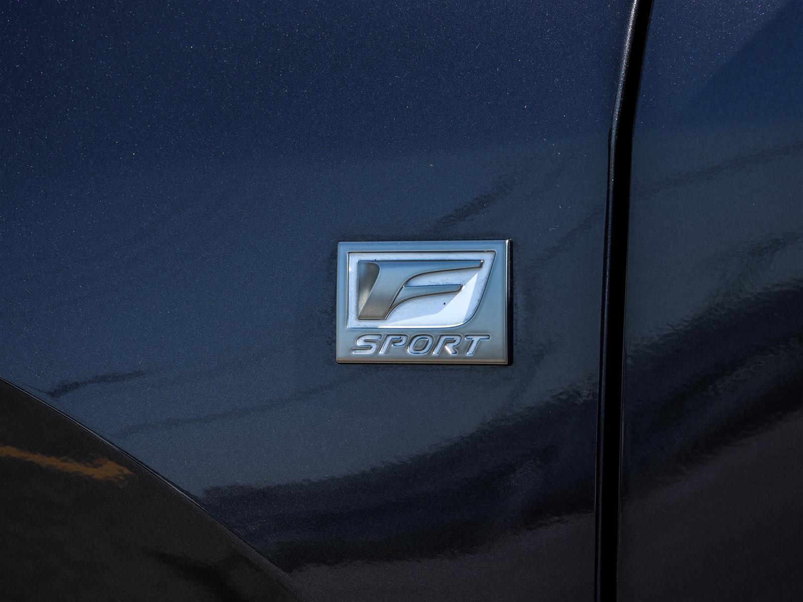 2024 Lexus RX 350 25