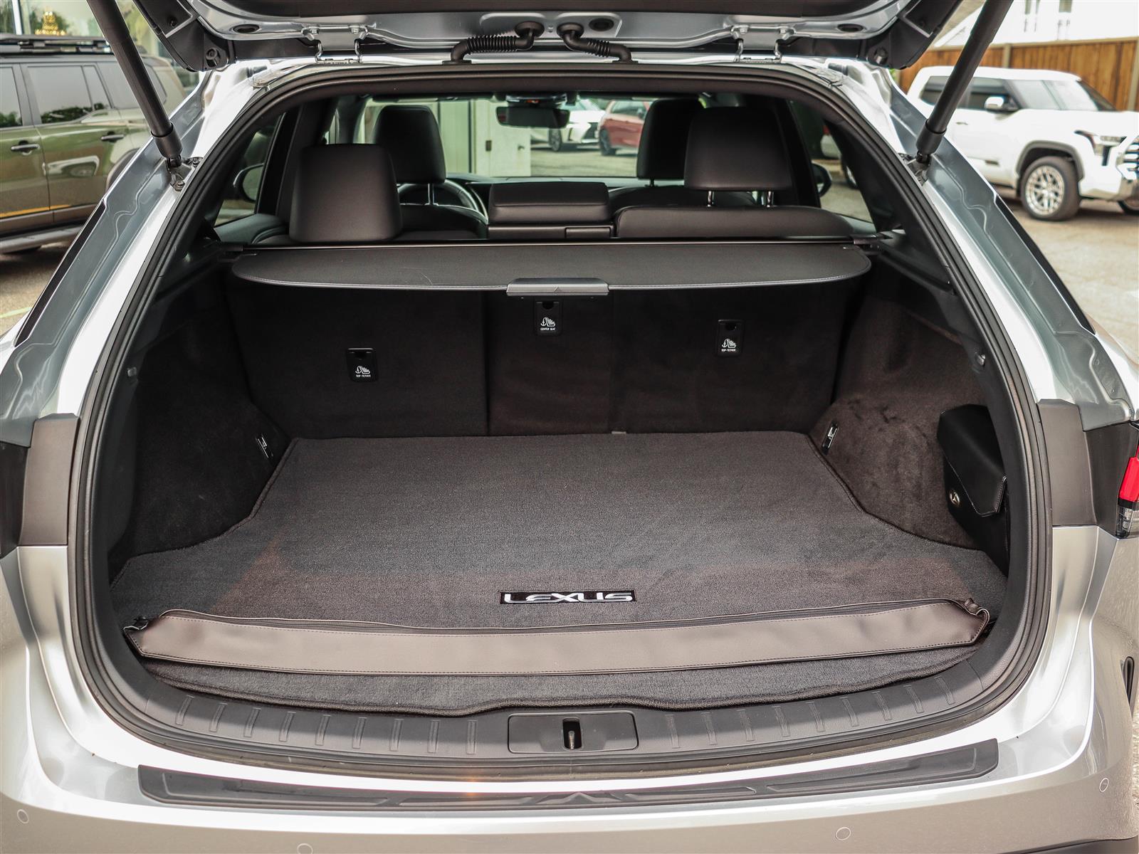 2024 Lexus RX 350h 21