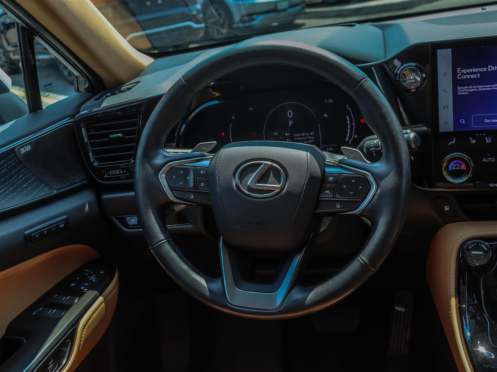 2024 Lexus NX 350 13
