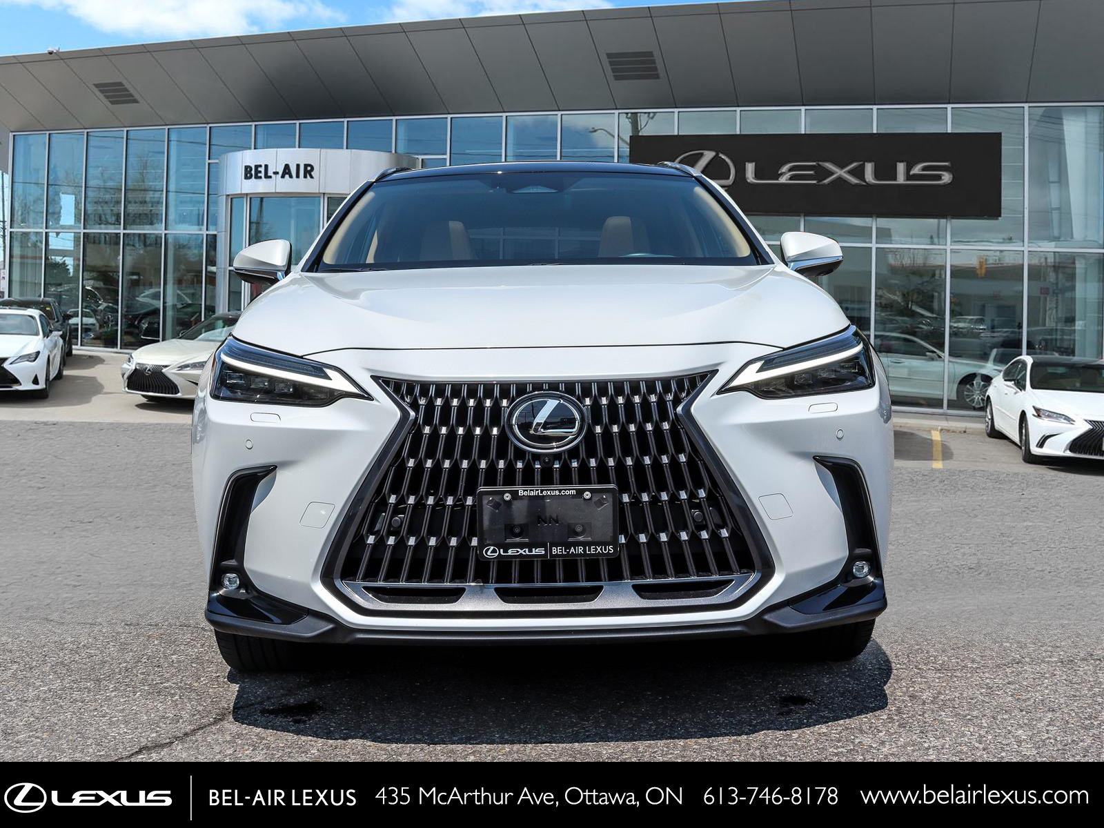 2024 Lexus NX 350 1