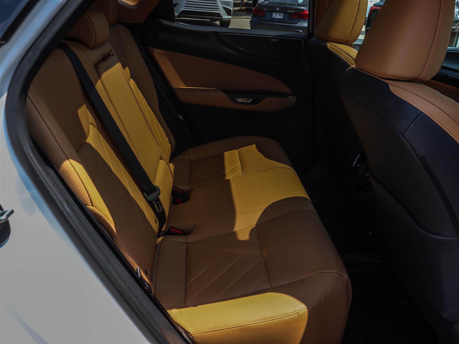 2024 Lexus NX 350 20