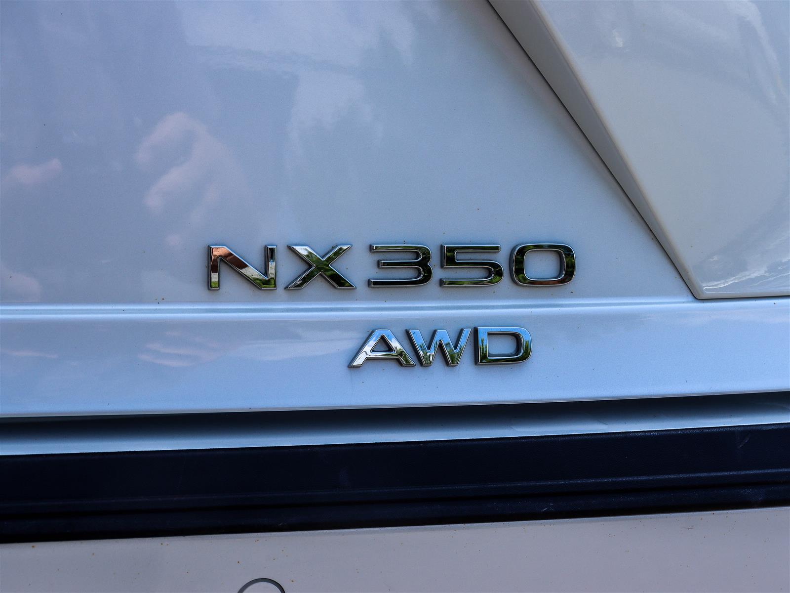 2024 Lexus NX 350 23