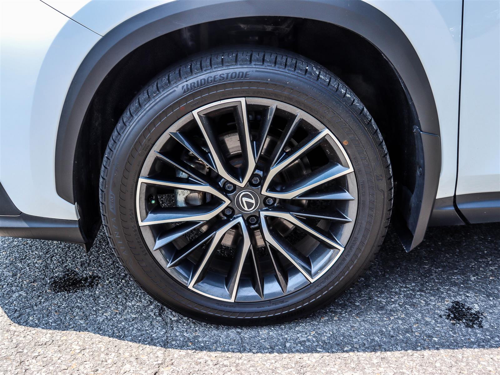 2024 Lexus NX 350 24