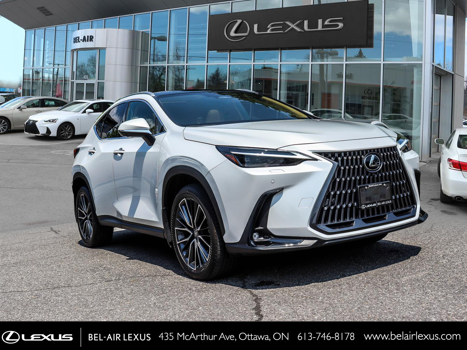 2024 Lexus NX 350 2
