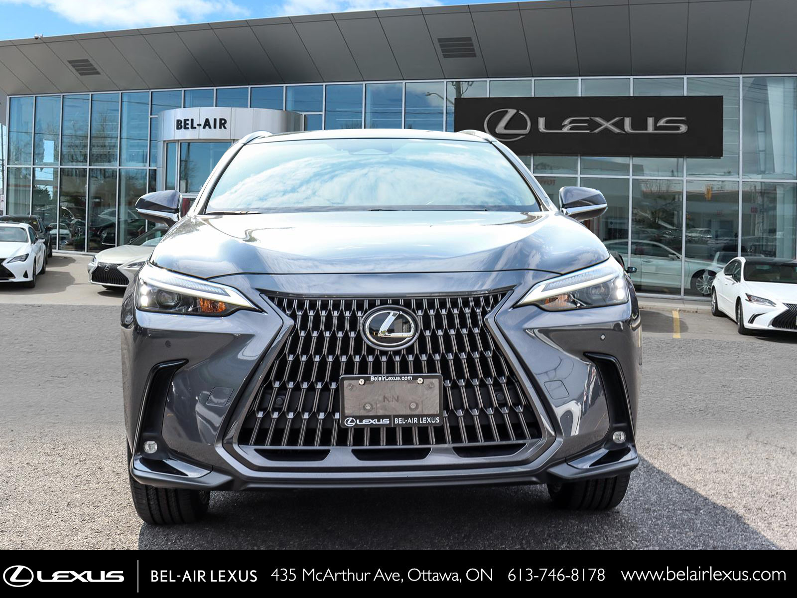 Lexus NX 350 2024 1