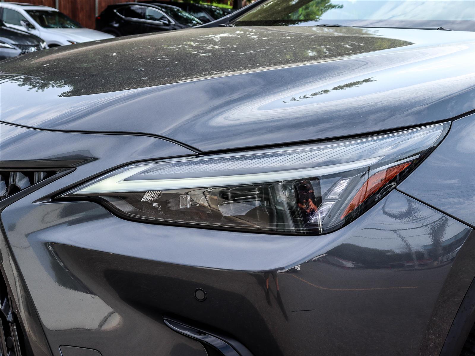 Lexus NX 350 2024 25