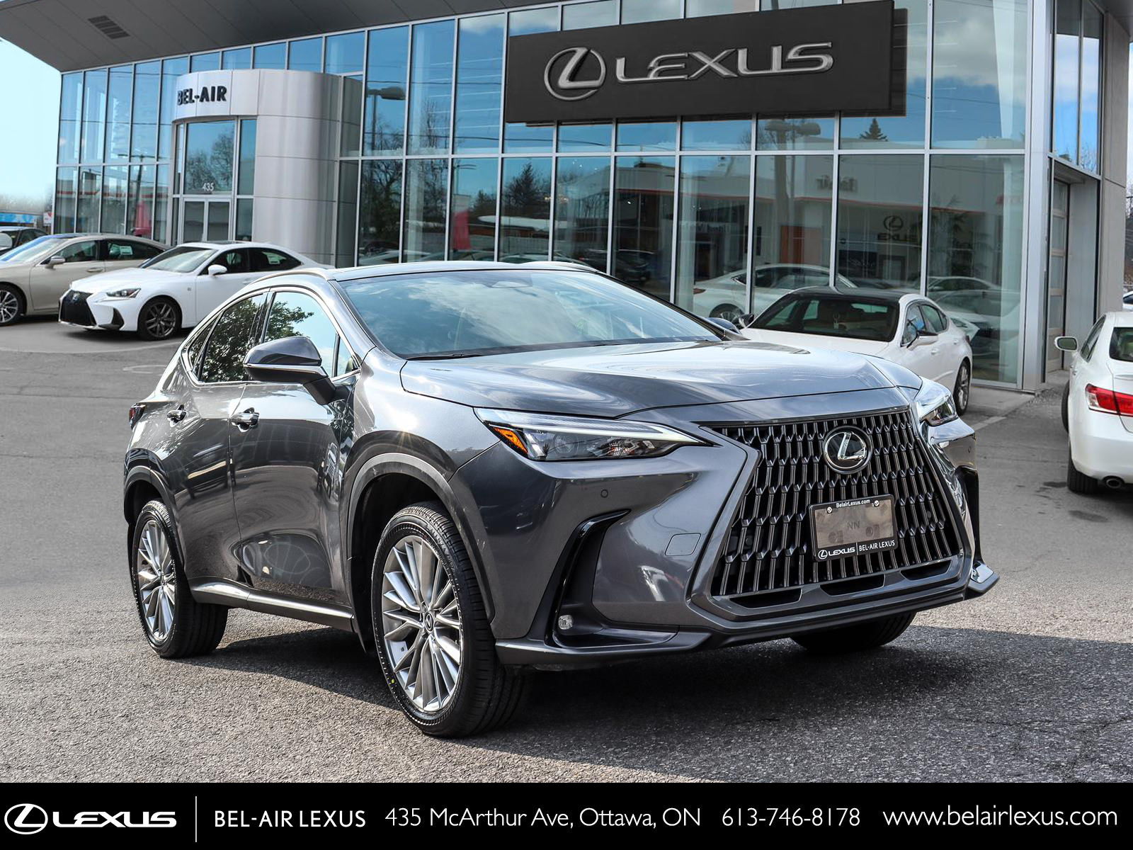Lexus NX 350 2024 2